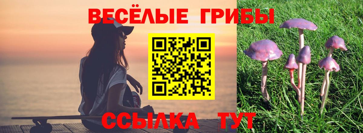 Можайск  Псилоцибиновые грибы Cubensis  где купить   Вход с VPN 